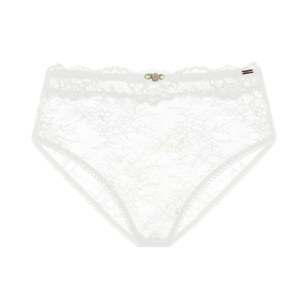 Origins Lace Brief