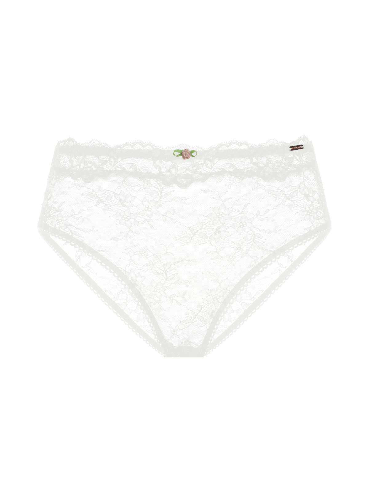 Origins Lace Brief