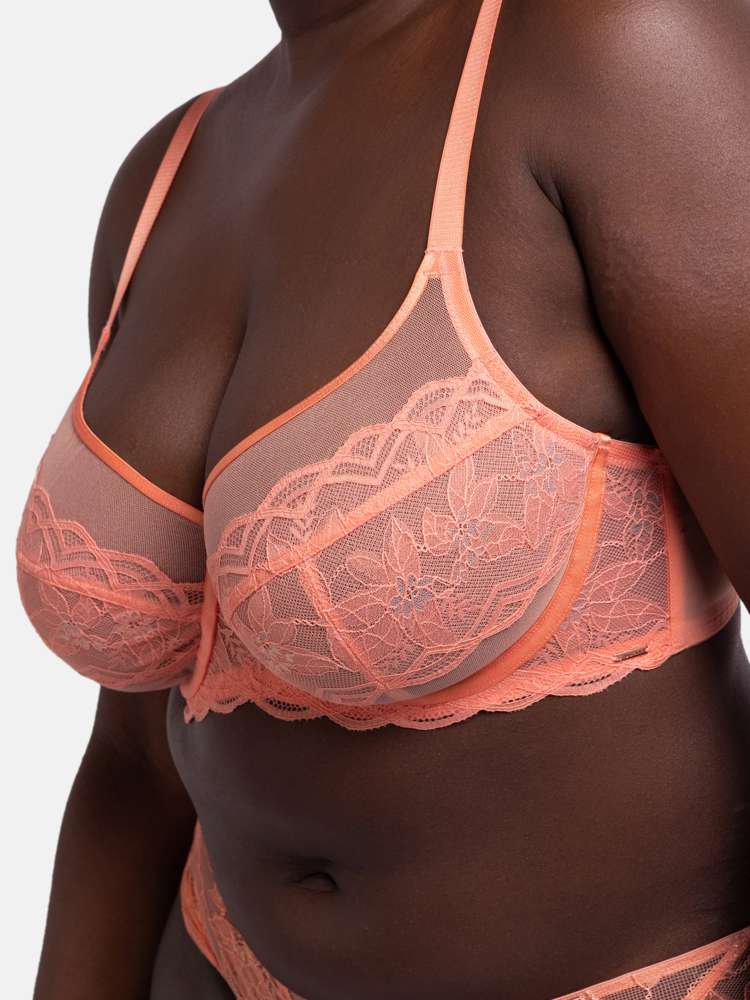 LORELEI FULL CUP BRA