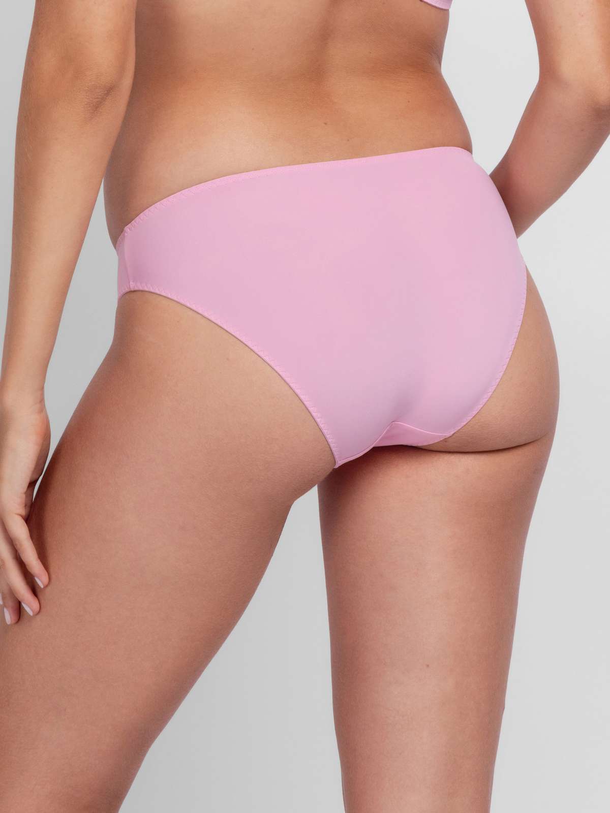 Willa 2pp Brief