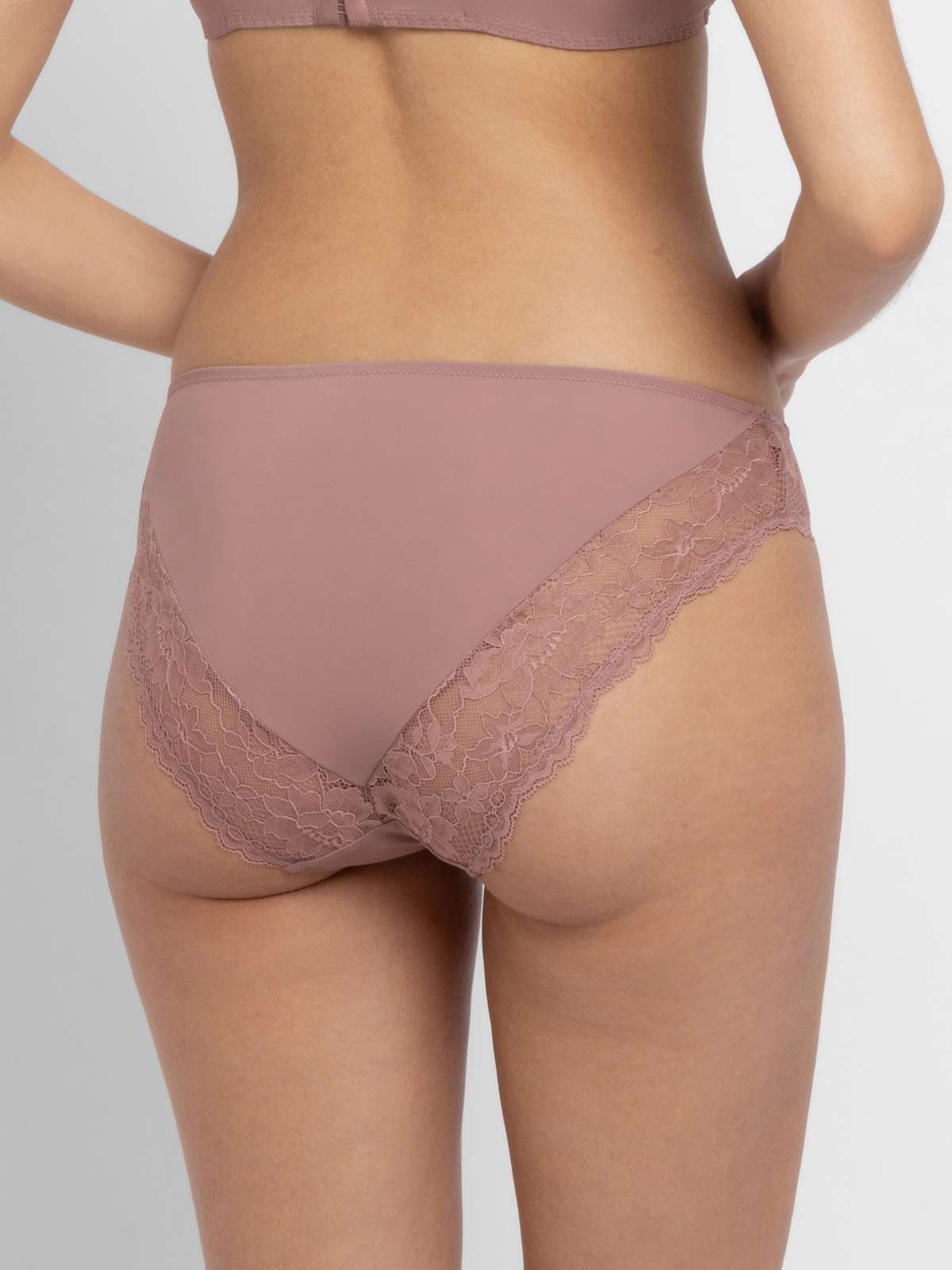 Willa 2pp Brief
