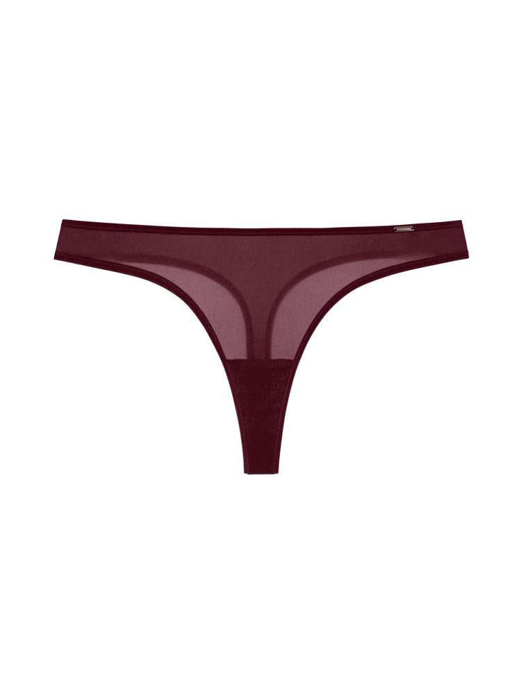 ORIGINS SHIMMER MESH THONG