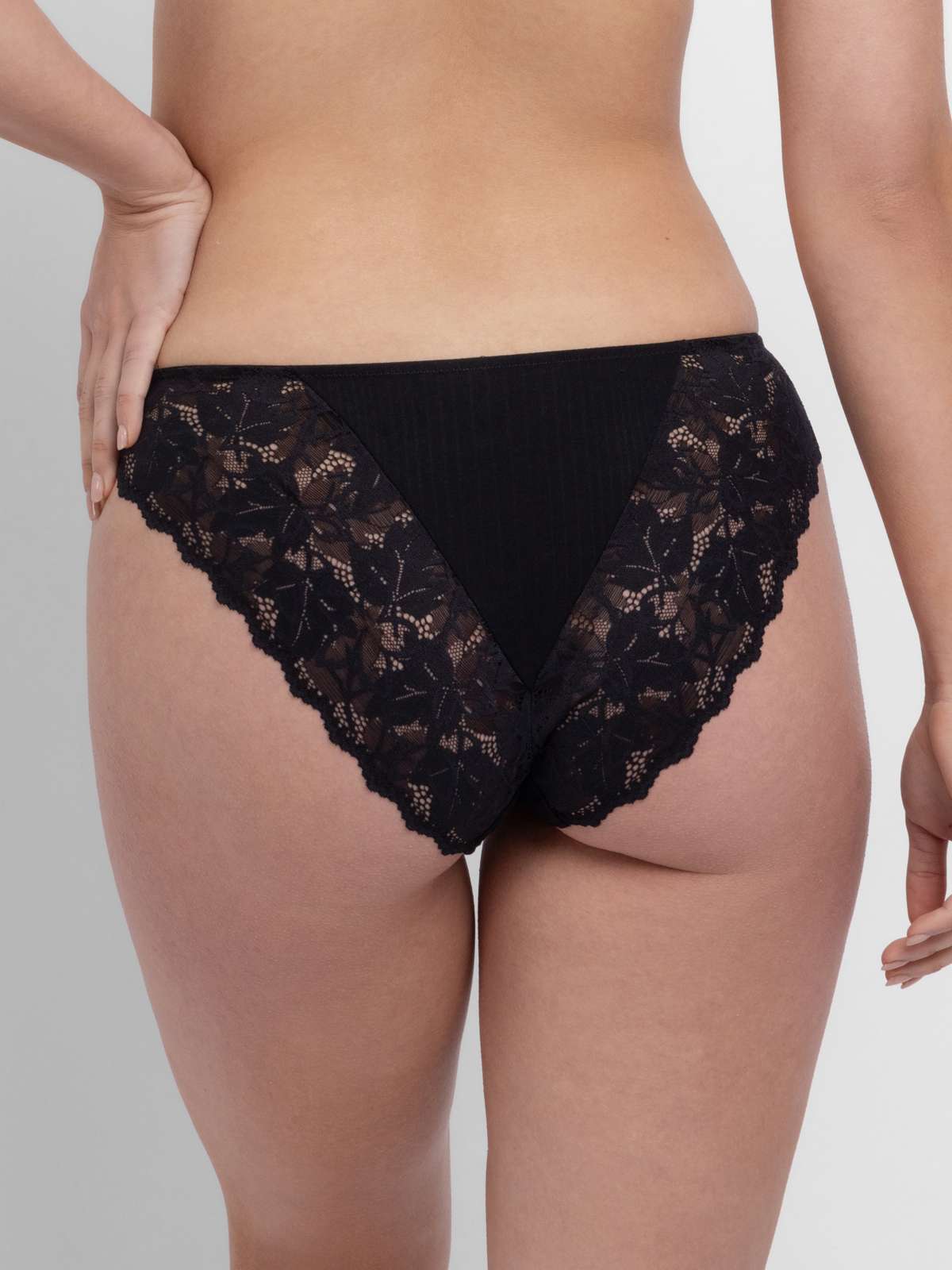 Samara Brief