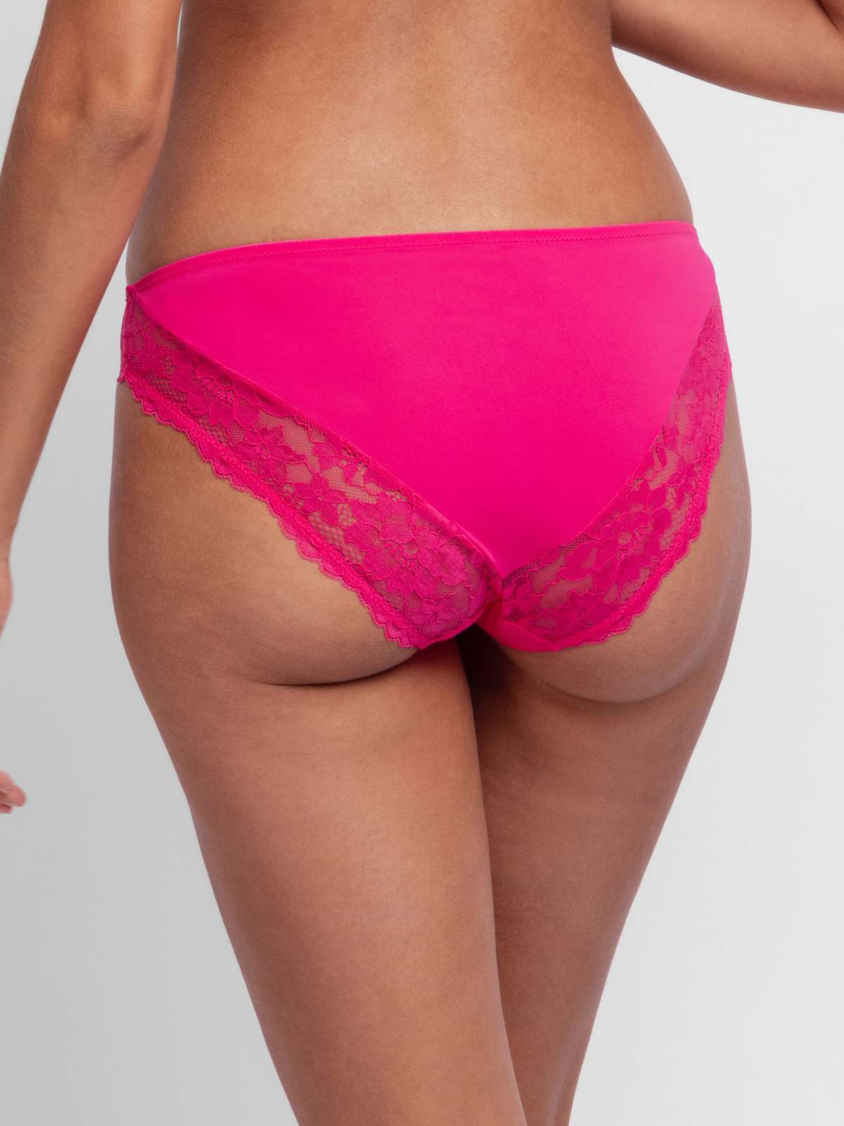 Willa 2pp Brief