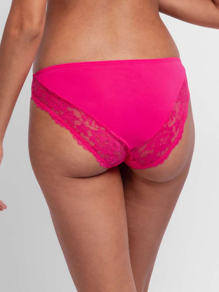 WILLA BRIEF